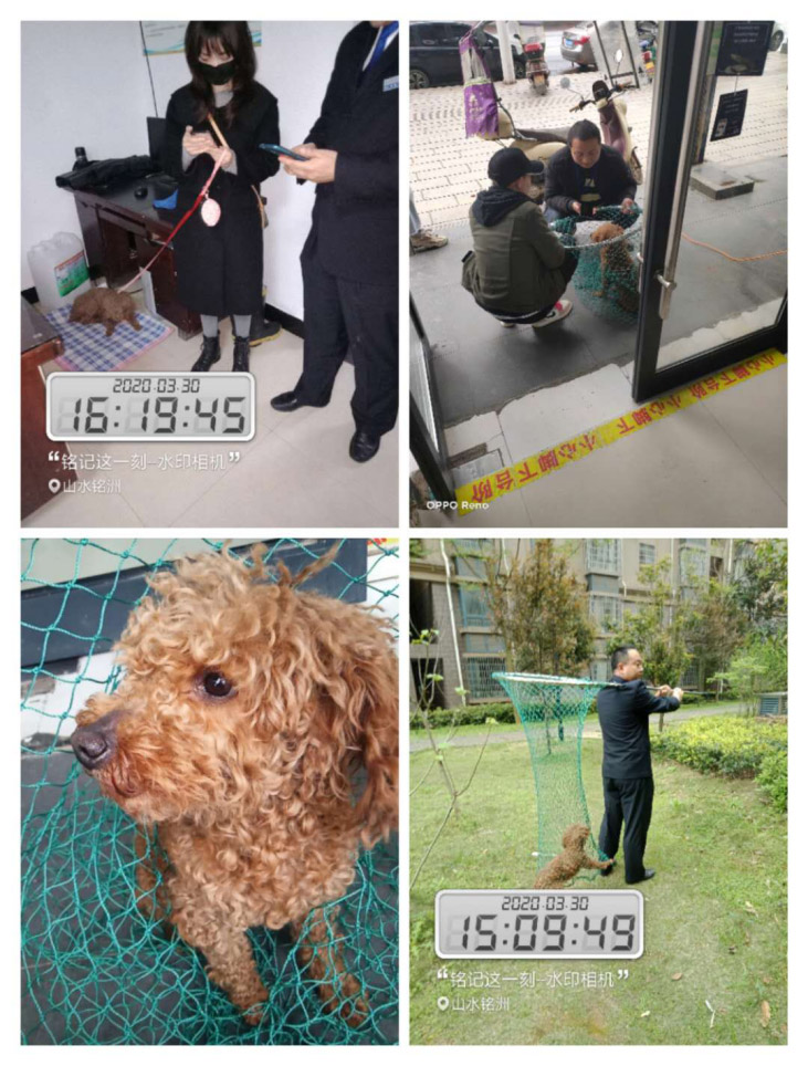 常德市陽光物業(yè)服務(wù)有限公司,常德物業(yè)管理,物業(yè)企業(yè),陽光物業(yè) 常德市陽光物業(yè)服務(wù)有限公司,常德物業(yè)管理,物業(yè)企業(yè),陽光物業(yè)